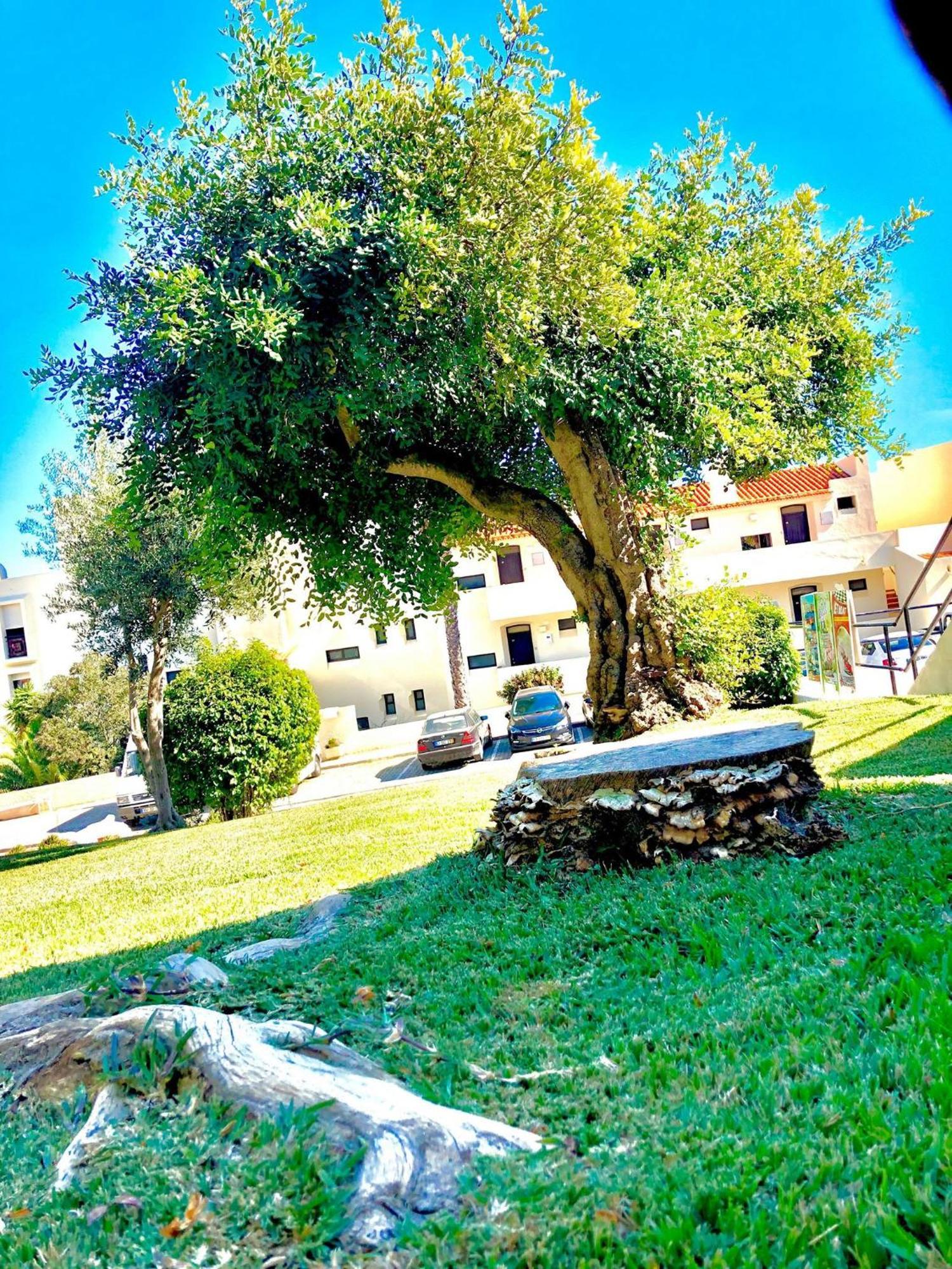 Albufeira Jardim - Apartamentos Turisticos Ngoại thất bức ảnh