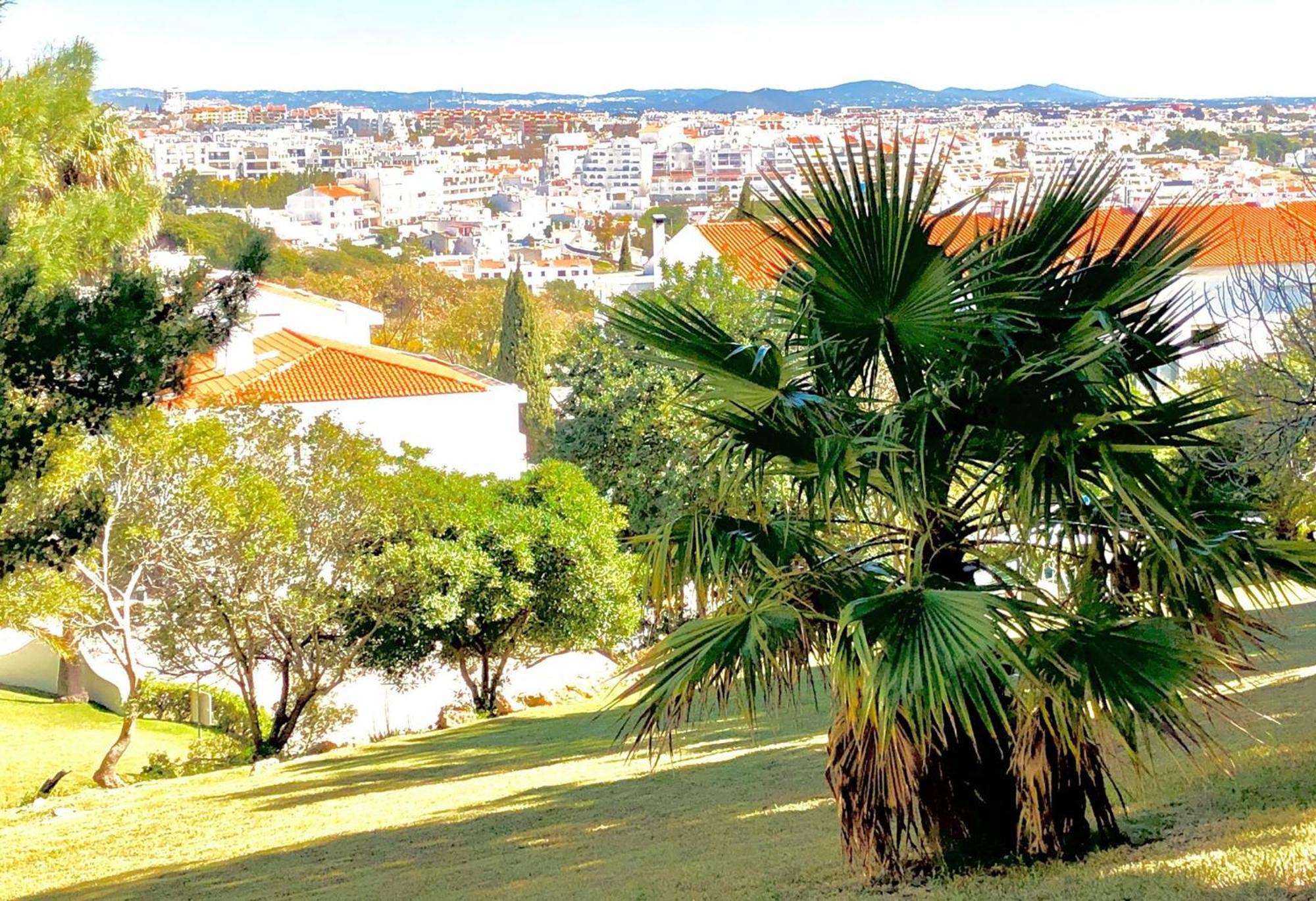 Albufeira Jardim - Apartamentos Turisticos Ngoại thất bức ảnh